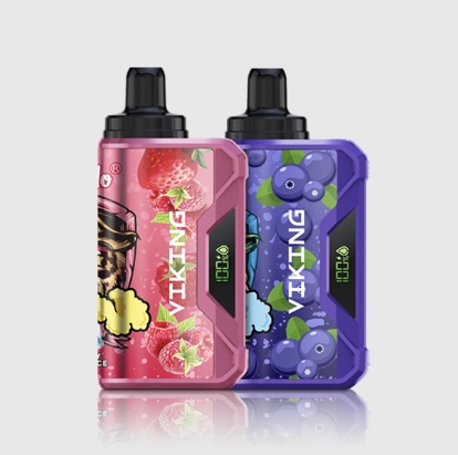 VapSolo VapSolo VIKING 12000 Puffs – Pack 2 items